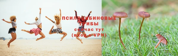 а пвп мука Алексеевка